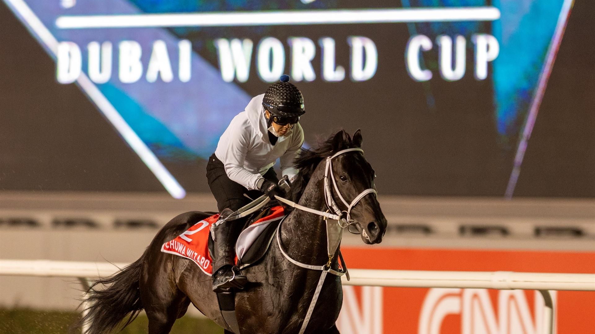 Chuwa Wizard (JPN) (Ryuji Okubo) DUBAI WORLD CUP (Credit Dubai Racing Club & Mathea Kelley) 250321