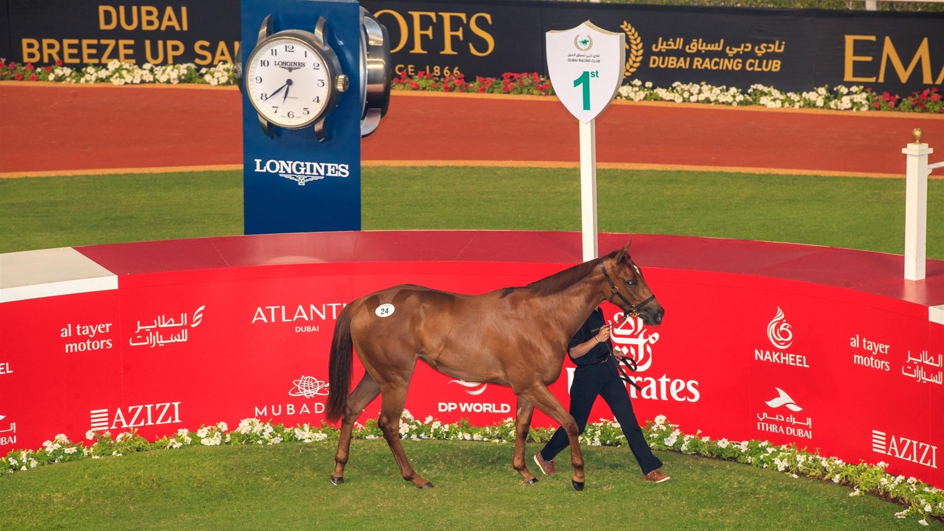 DUBAI BREEZE UP SALE, MARCH 23, 2022