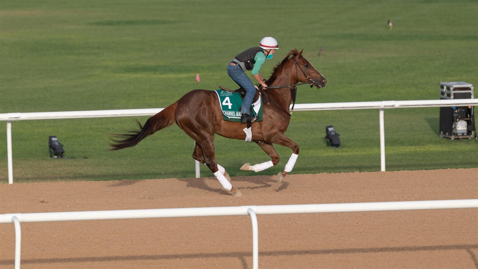 Channel Maker (CAN) (Bill Mott) LONGINES DUBAI SHEEMA CLASSIC (Credit Dubai Racing Club & Neville Hopwood) 260321