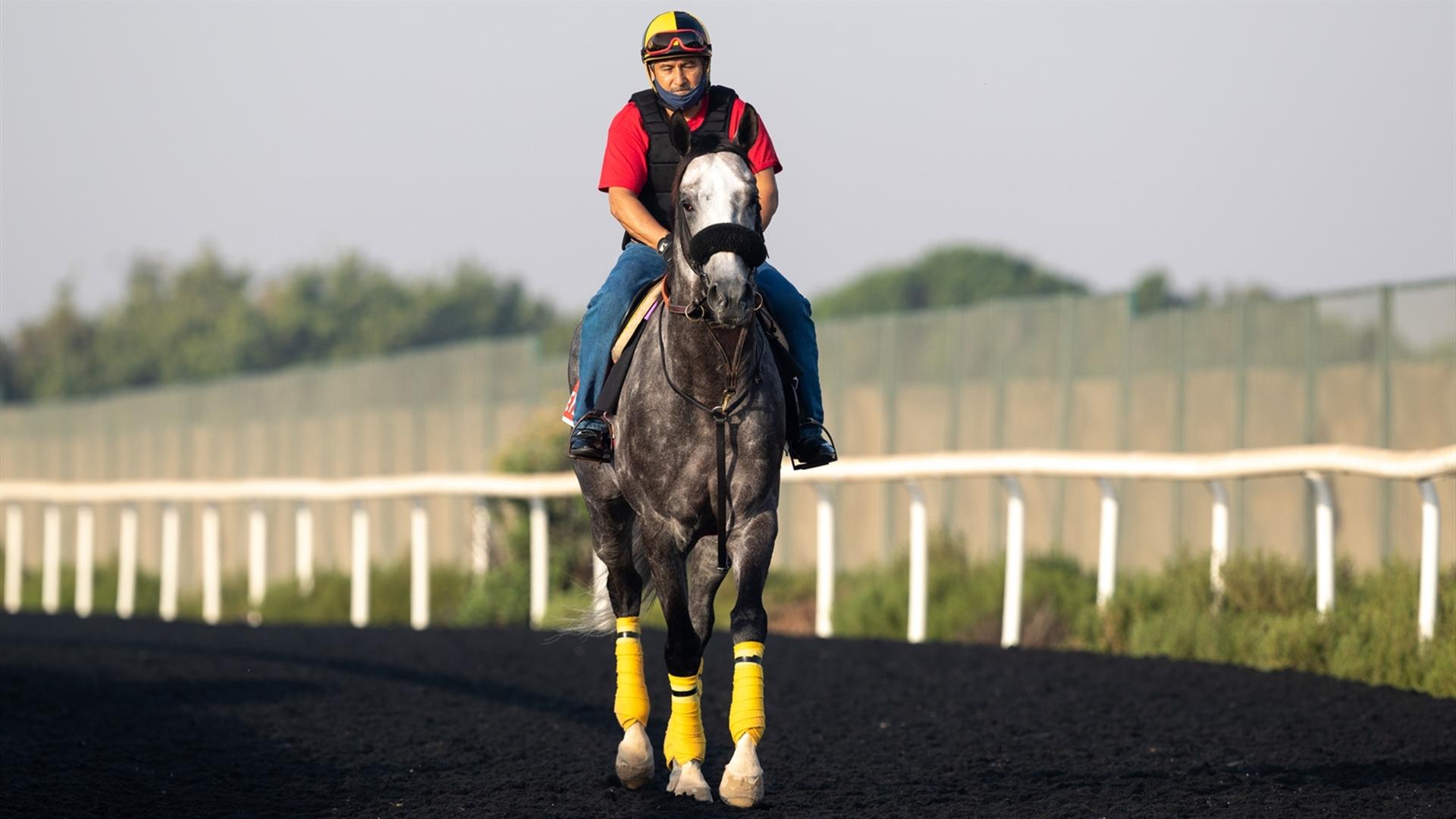 Sleepy Eyes Todd (USA) (Miguel Angel Silva) DUBAI WORLD CUP (Credit Dubai Racing Club & Neville Hopwood) 240321
