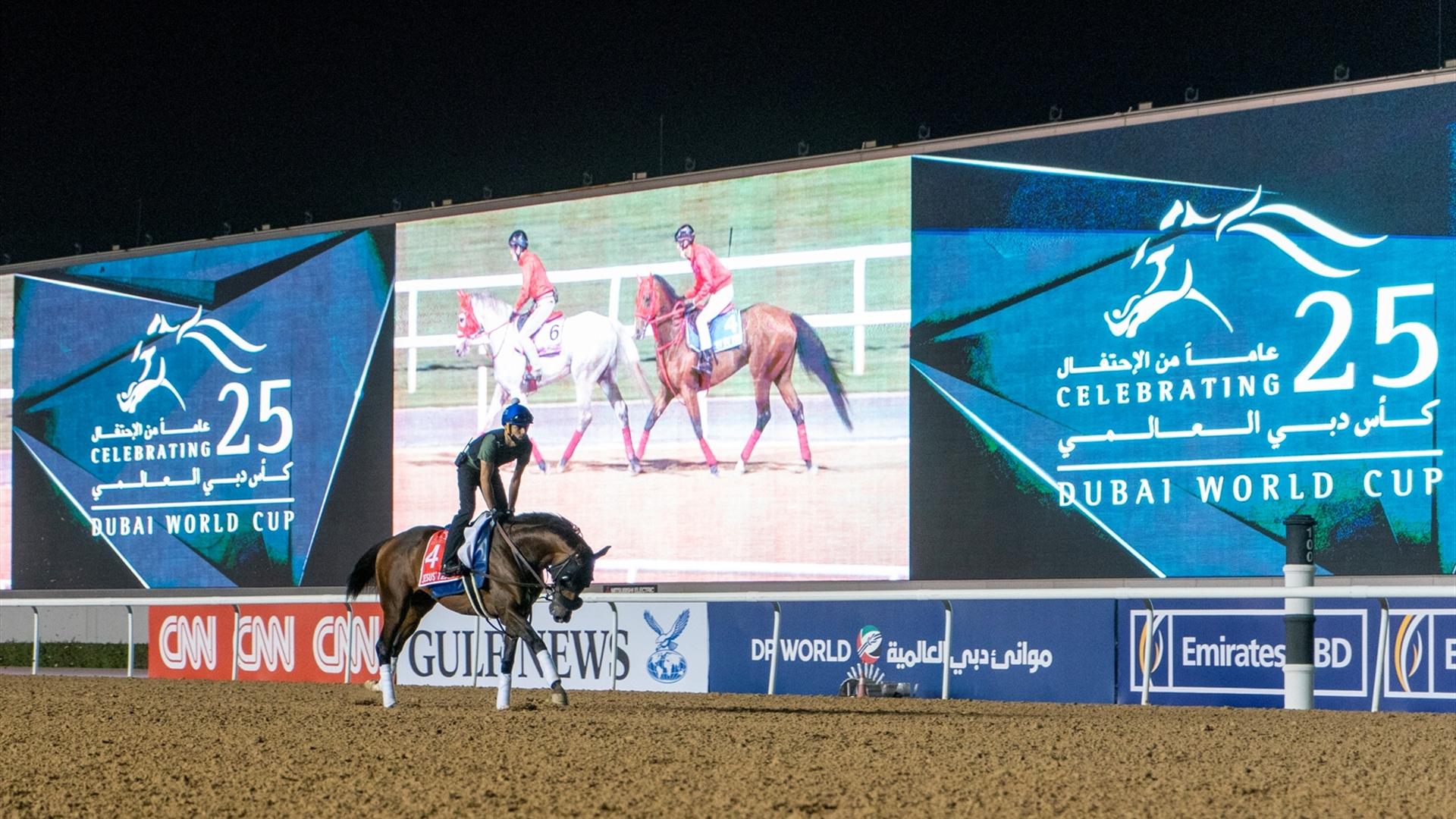 Jesus' Team (USA) (Jose Francisco D'Angelo) DUBAI WORLD CUP (Credit Dubai Racing Club & Mathea Kelley) 250321