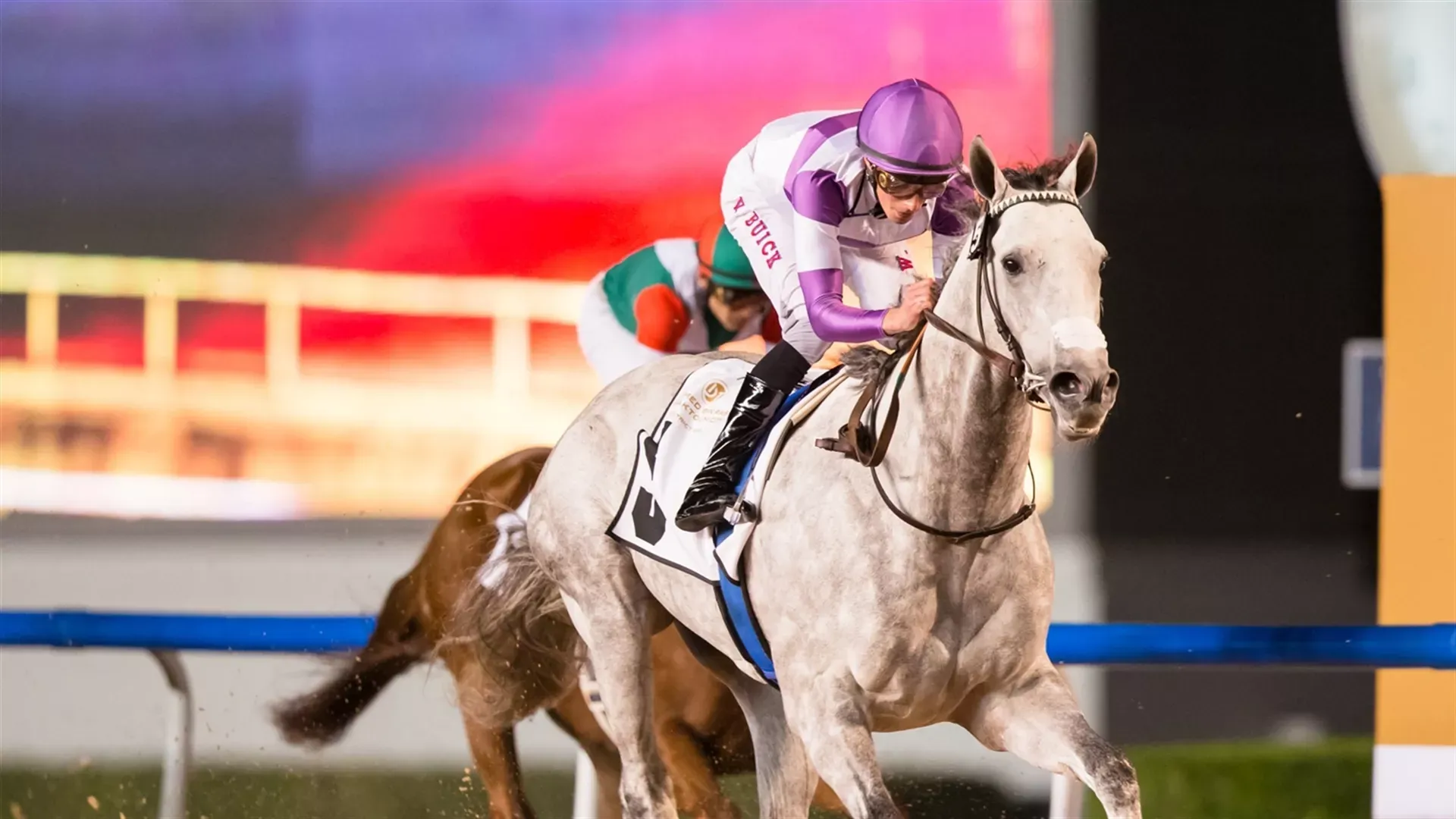 PARSIMONY: Dubai Racing Club// Erika Rasmussen