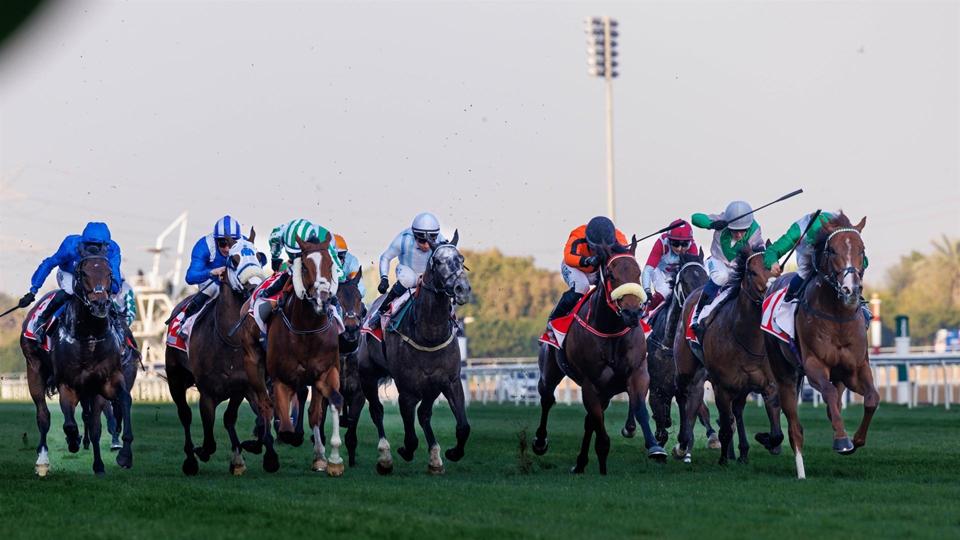 Al Dasim - Nad Al Sheba Turf Sprint