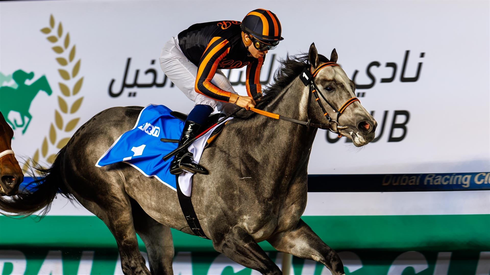 v1WlXL3t