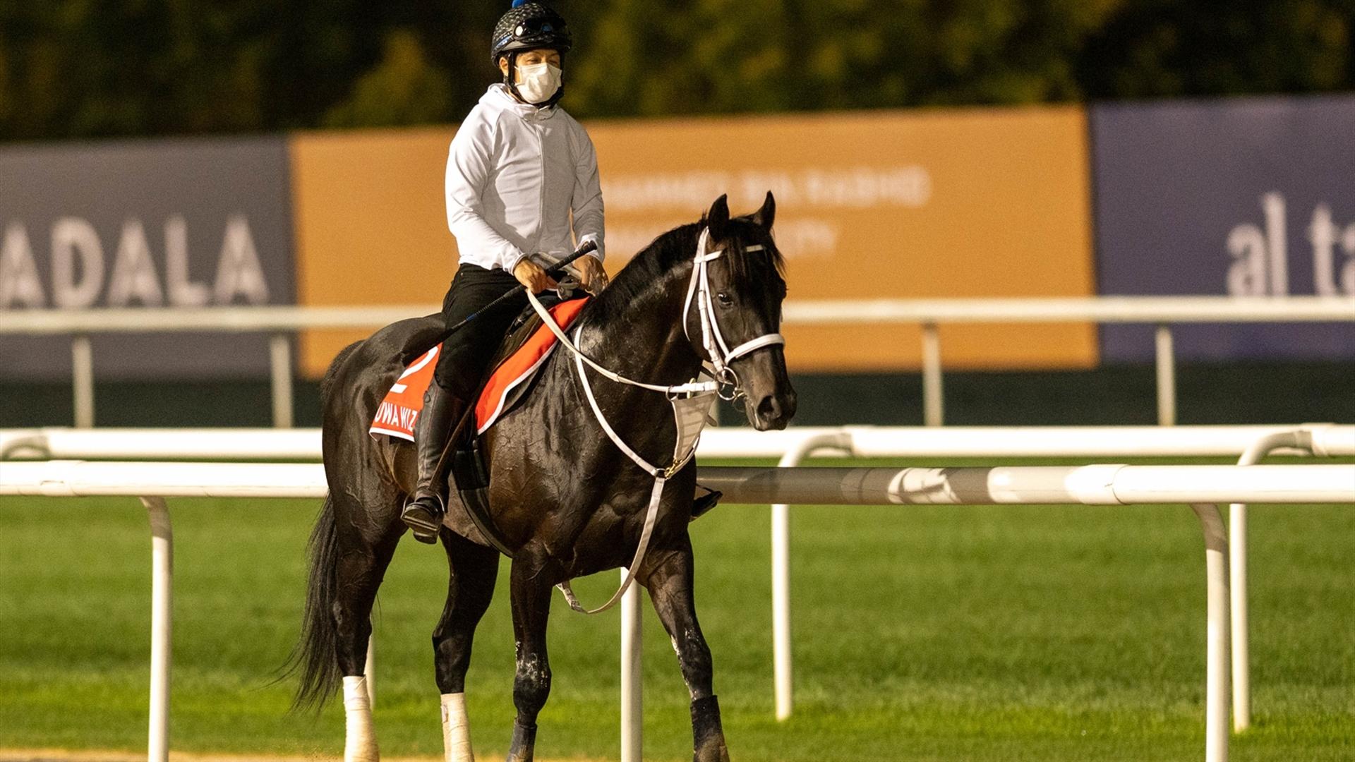 Chuwa Wizard (JPN) (Ryuji Okubo) DUBAI WORLD CUP (Credit Dubai Racing Club & Mathea Kelley) 260321
