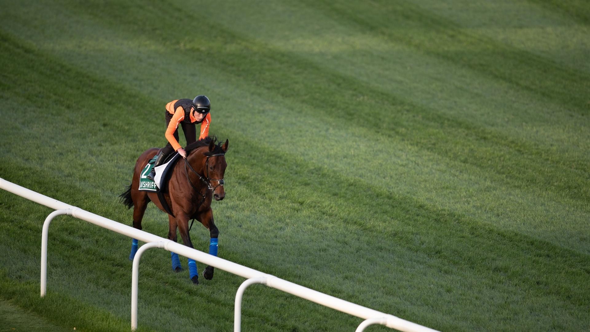 Mishriff (IRE) (John Gosden) LONGINES DUBAI SHEEMA CLASSIC (DRC & Neville Hopwood) 260321