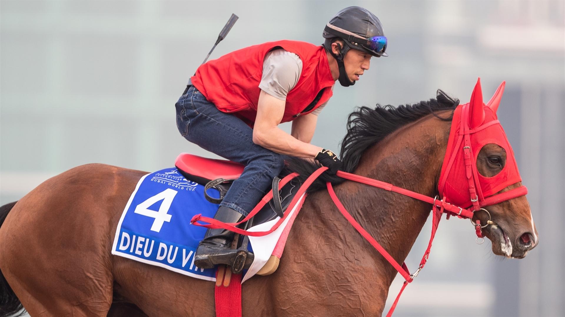 Dieu du Vin (JPN) (Yukihiro Kato) Godolphin Mile (Credit Dubai Racing Club & Neville Hopwood)