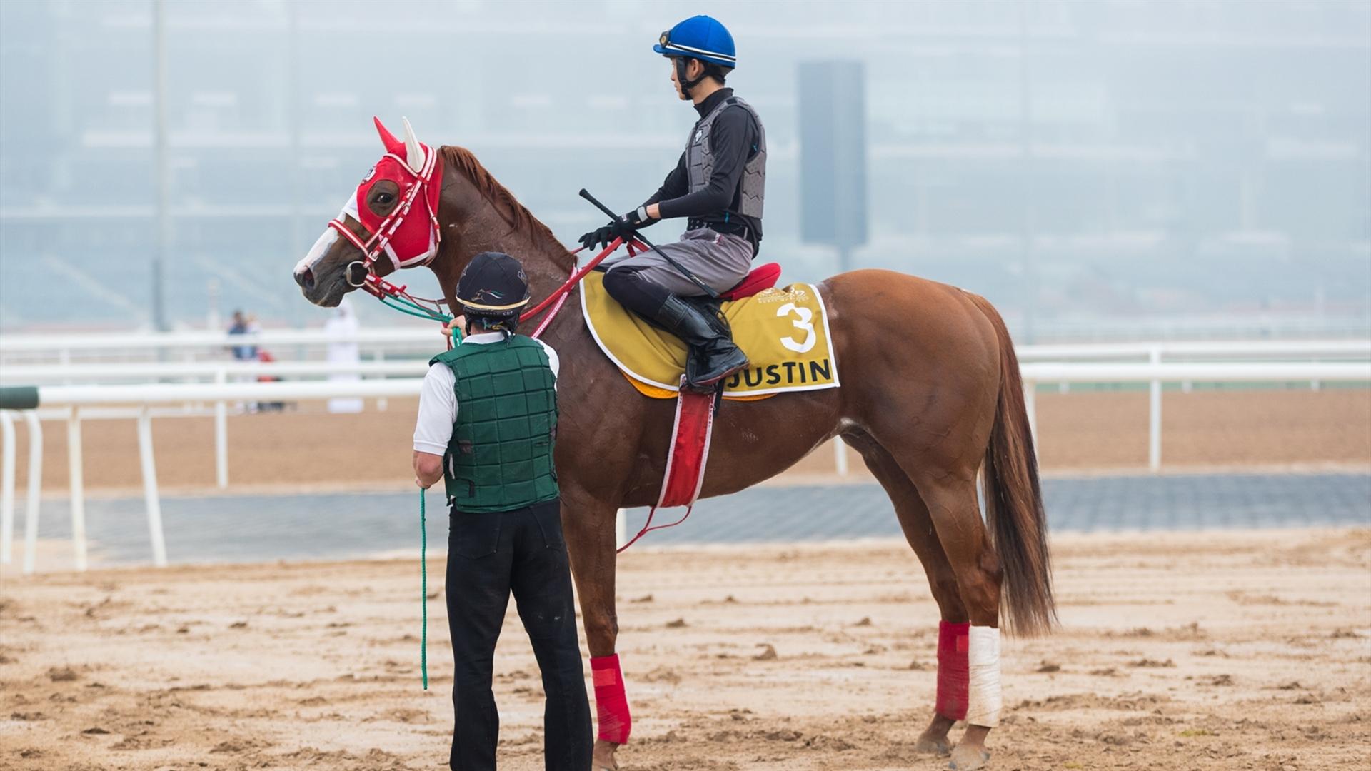 Justin (JPN) (Yoshito Yahagi) Dubai Golden Shaheen (Credit DRC & Neville Hopwood)