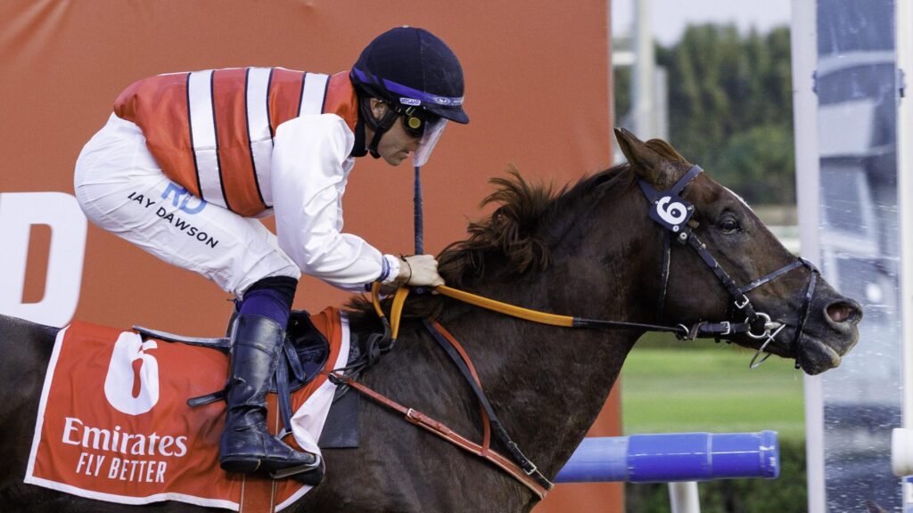 DUBAI RACING CARNIVAL- March 1, 2025 - Race 1 | Dubai Racing Club