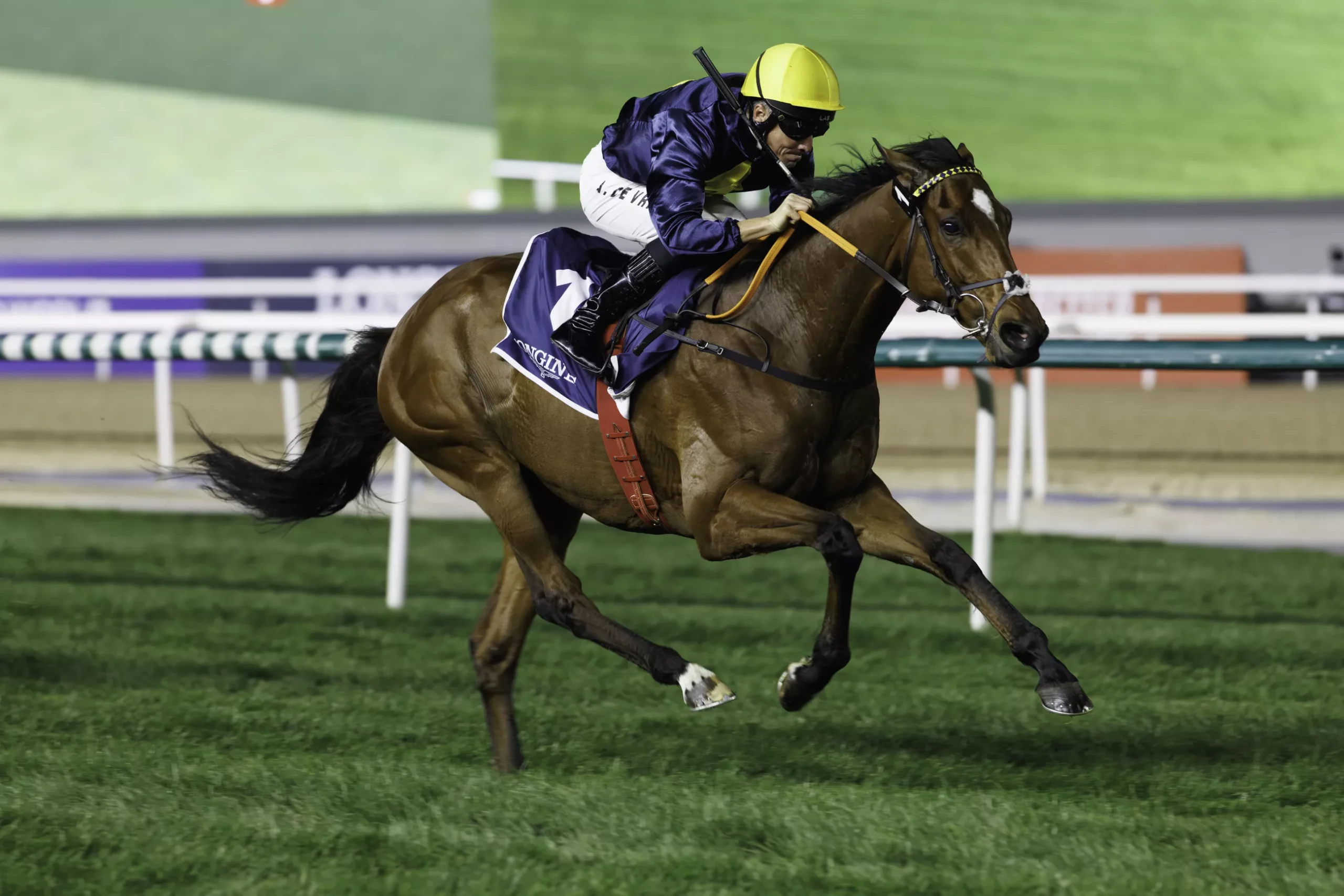 060A0160-Enhanced-NR_0.jpg (1)