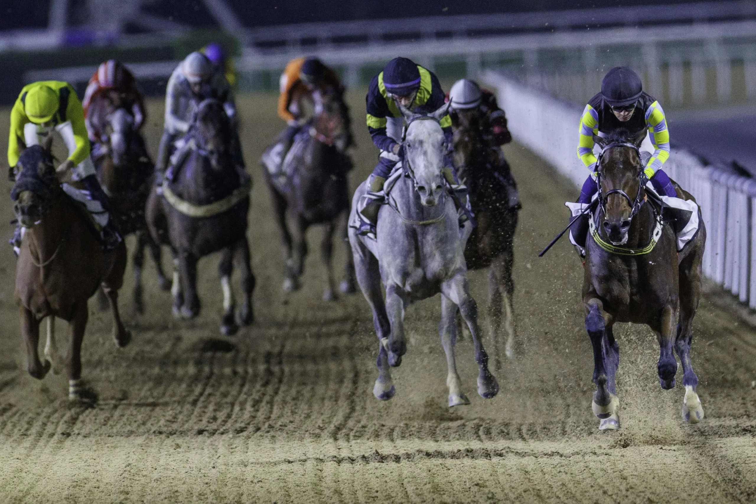 Cupid's Dream wins at Meydan