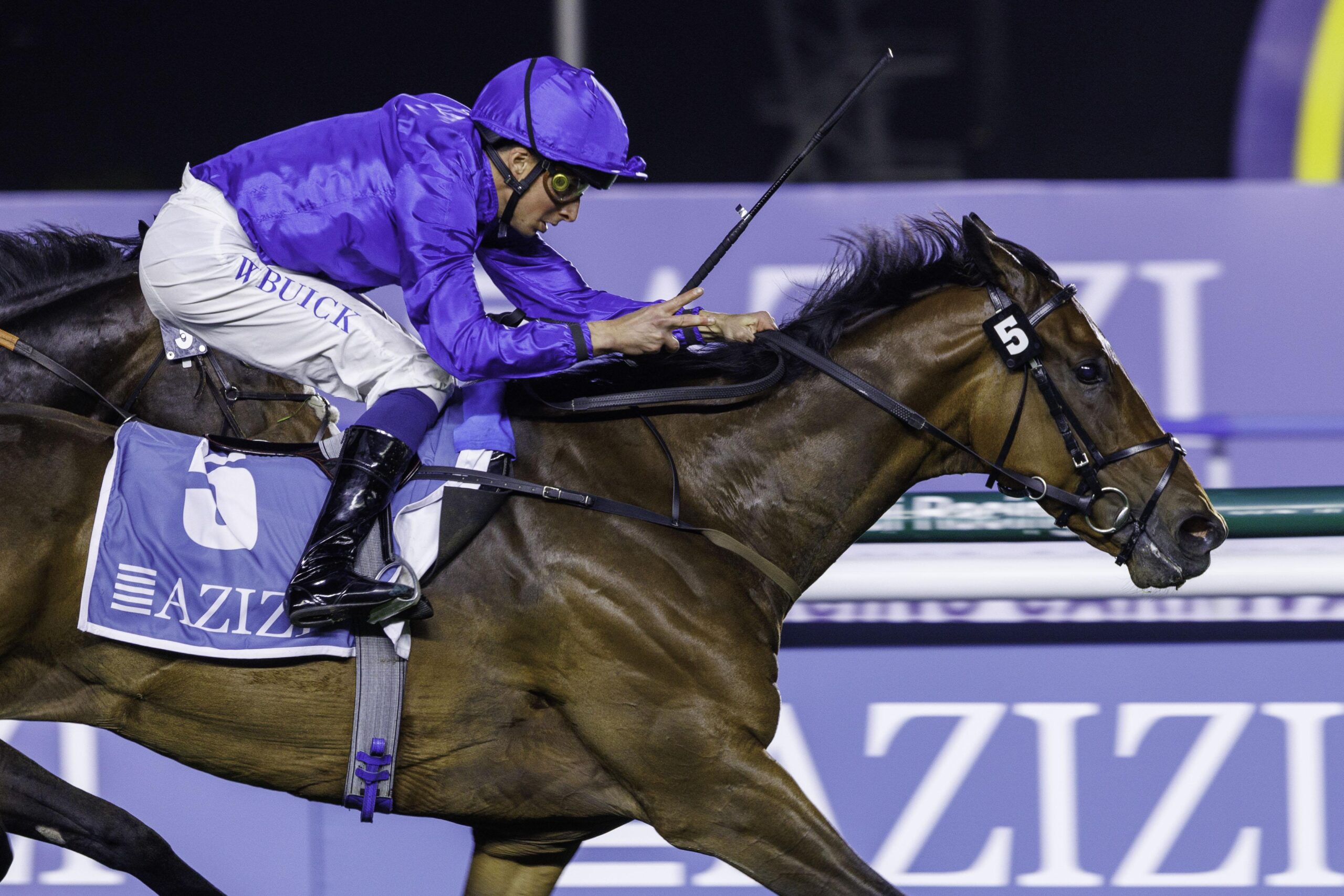 Arabian Light wins the Lord Glitters Handicap