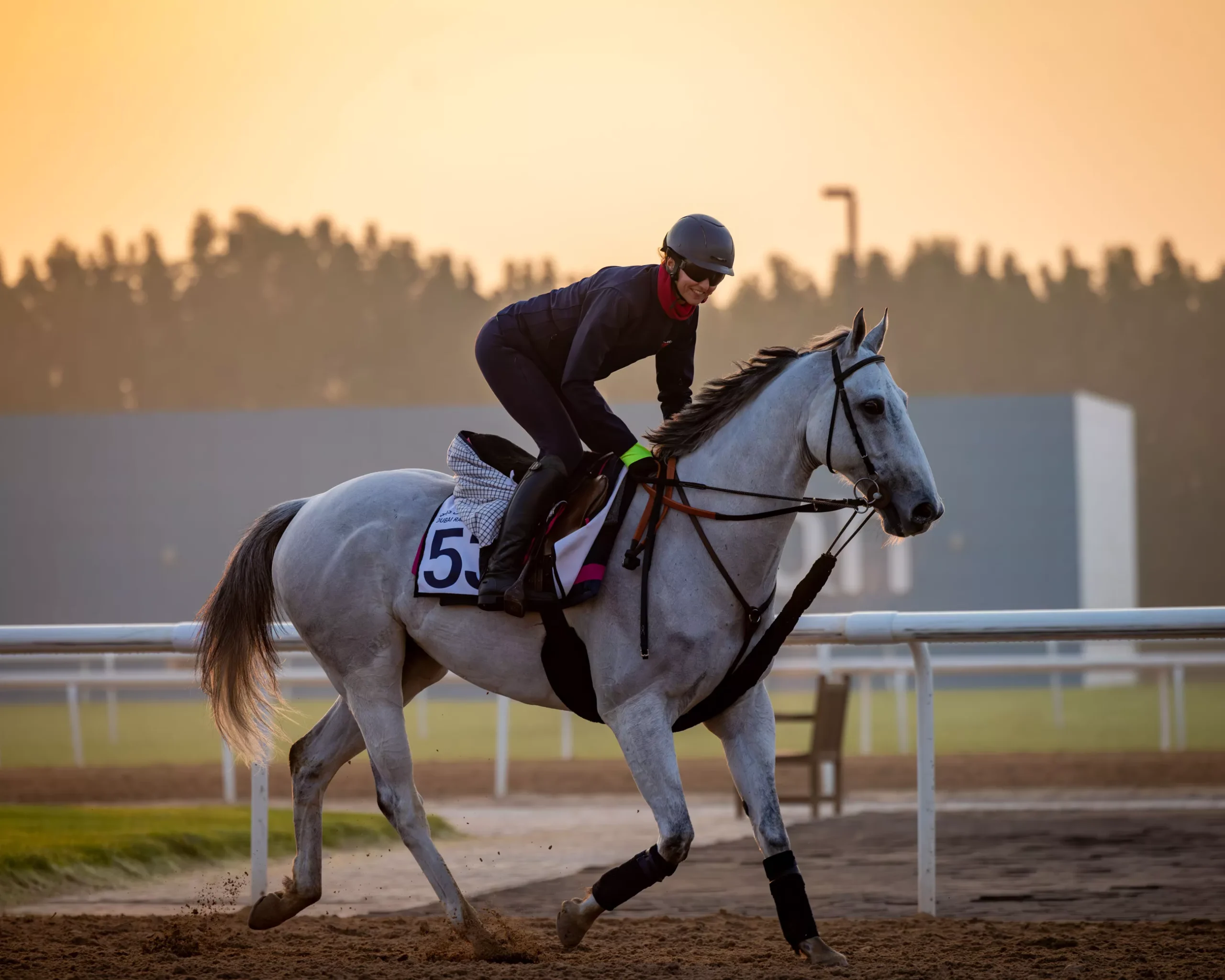 BATWAN: veteran grey makes his 60th career start on Friday