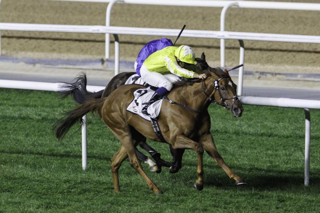 DUBAI RACING CARNIVAL- FEB 21, 2025 - Race 5 – G2 BALANCHINE | Dubai ...