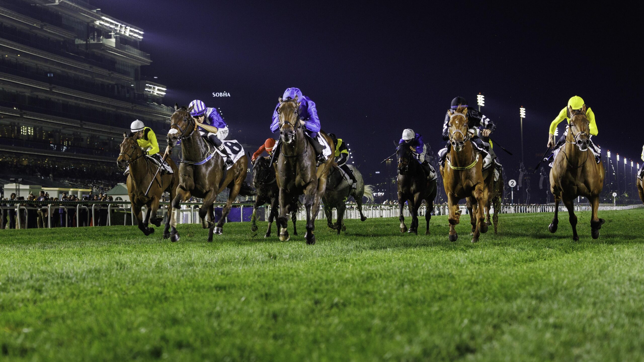 Creative Story (GB) (Charlie Appleby-William Buick) wins the Lincoln Aviator Preside (3)_0