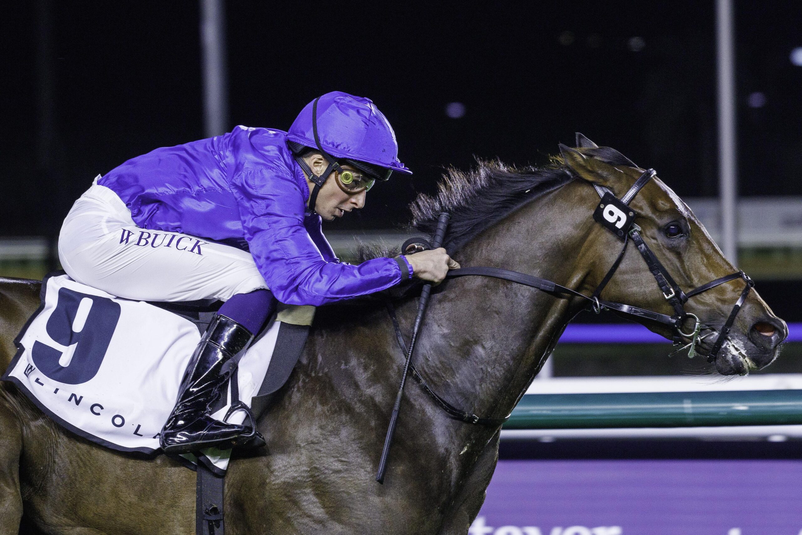 Creative Story (GB) (Charlie Appleby-William Buick) wins the Lincoln Aviator Preside (5)_0