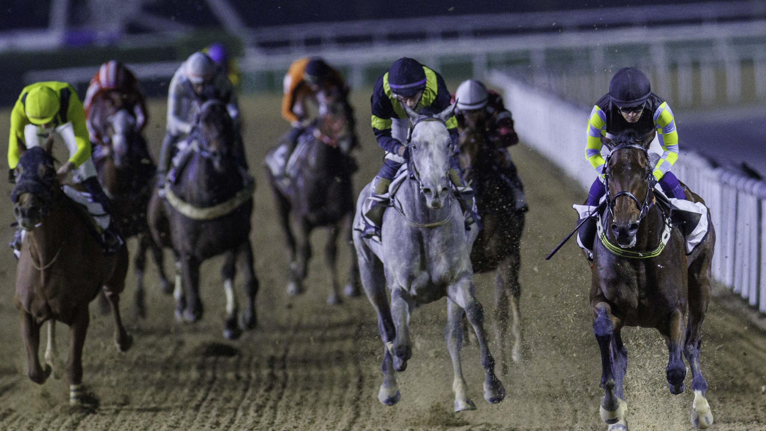Cupid’s Dream (GB) (Mussabeh Al Mheiri-Silvestre De Sousa) wins the Lincoln Presidential Race (6)
