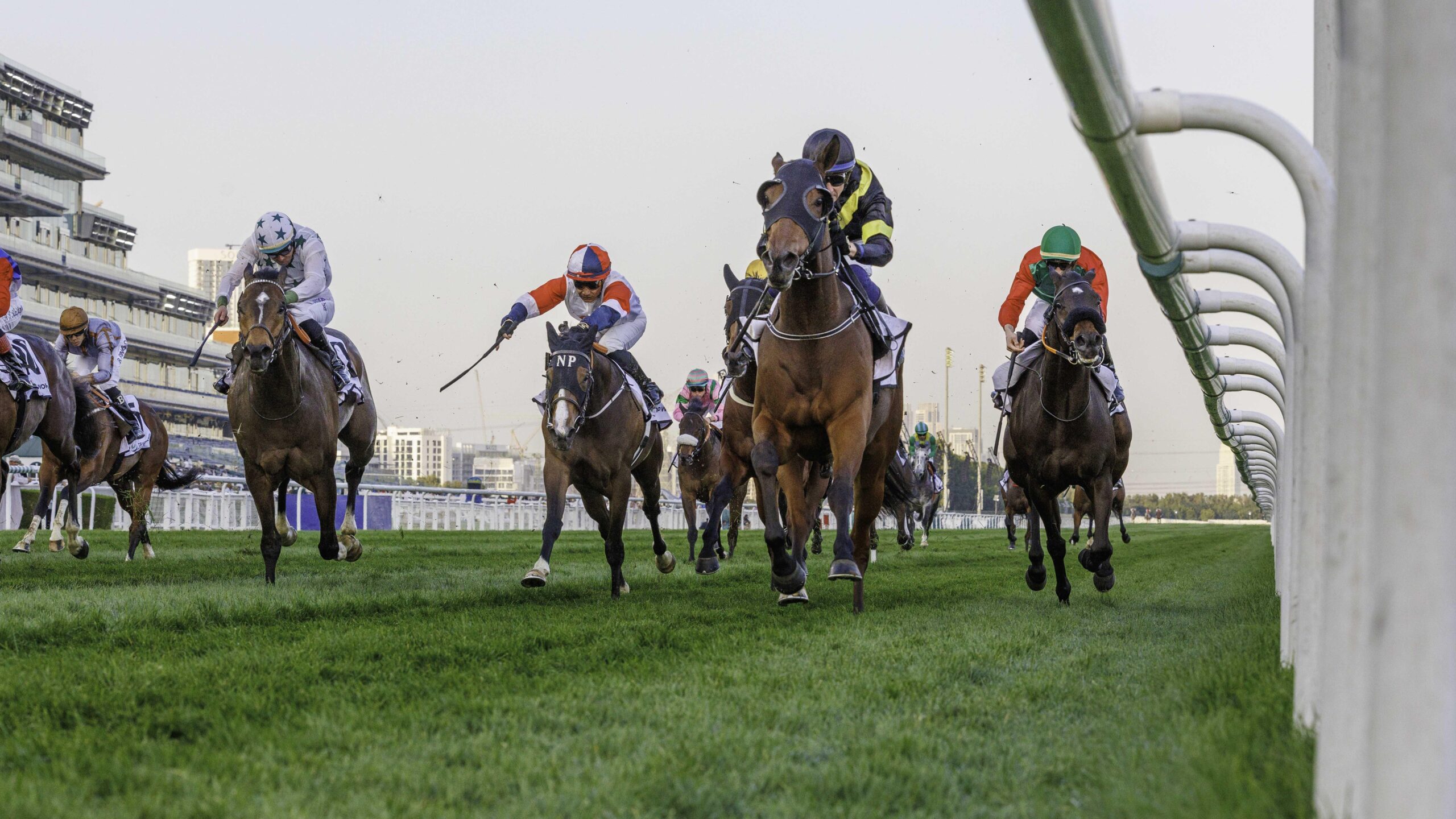 Expert Choice (GB) (Julio Olascoaga-Jim Crowley) wins the Mina Rashid Race (2)_0