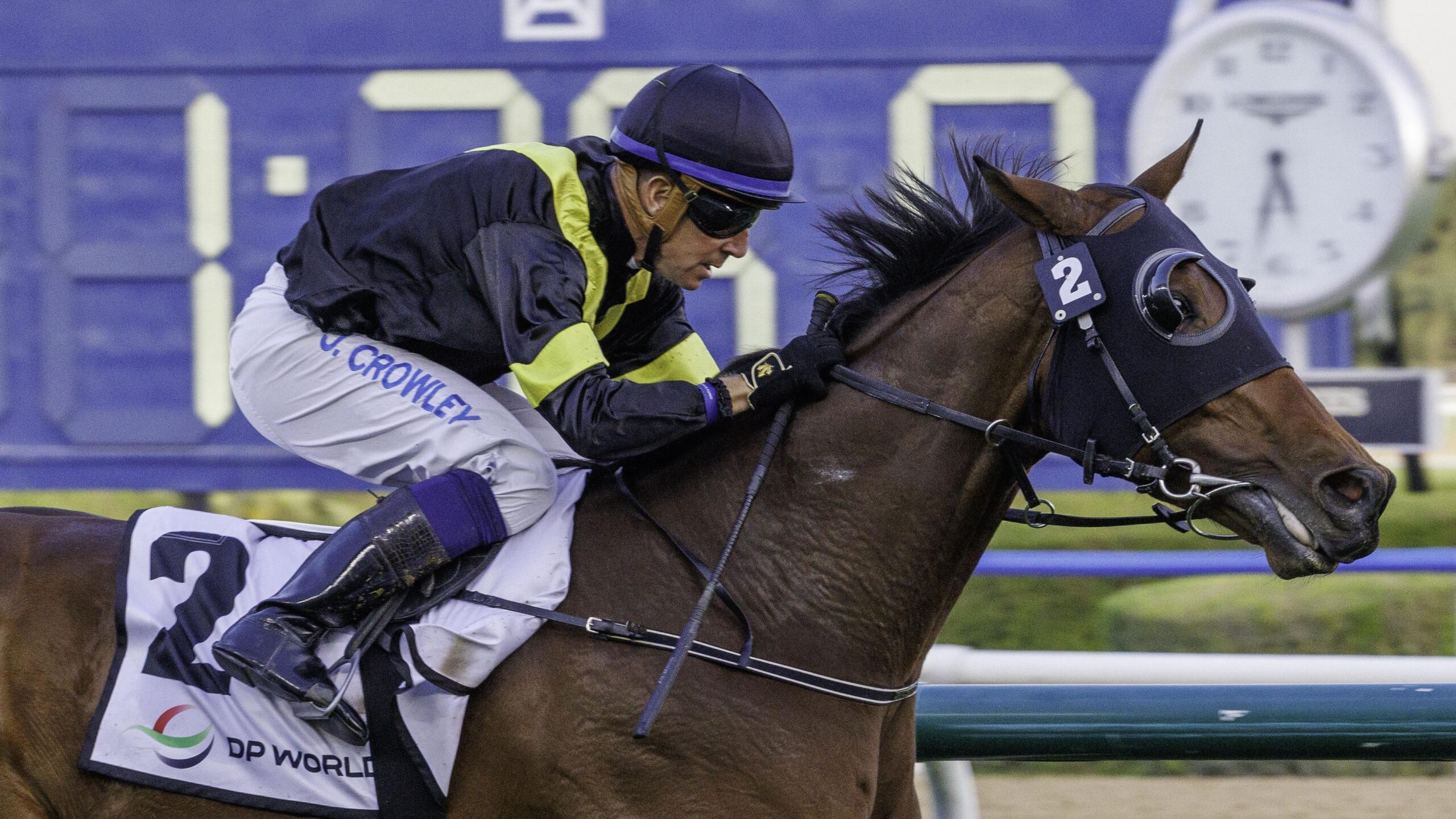 Expert Choice (GB) (Julio Olascoaga-Jim Crowley) wins the Mina Rashid Race (5)_0