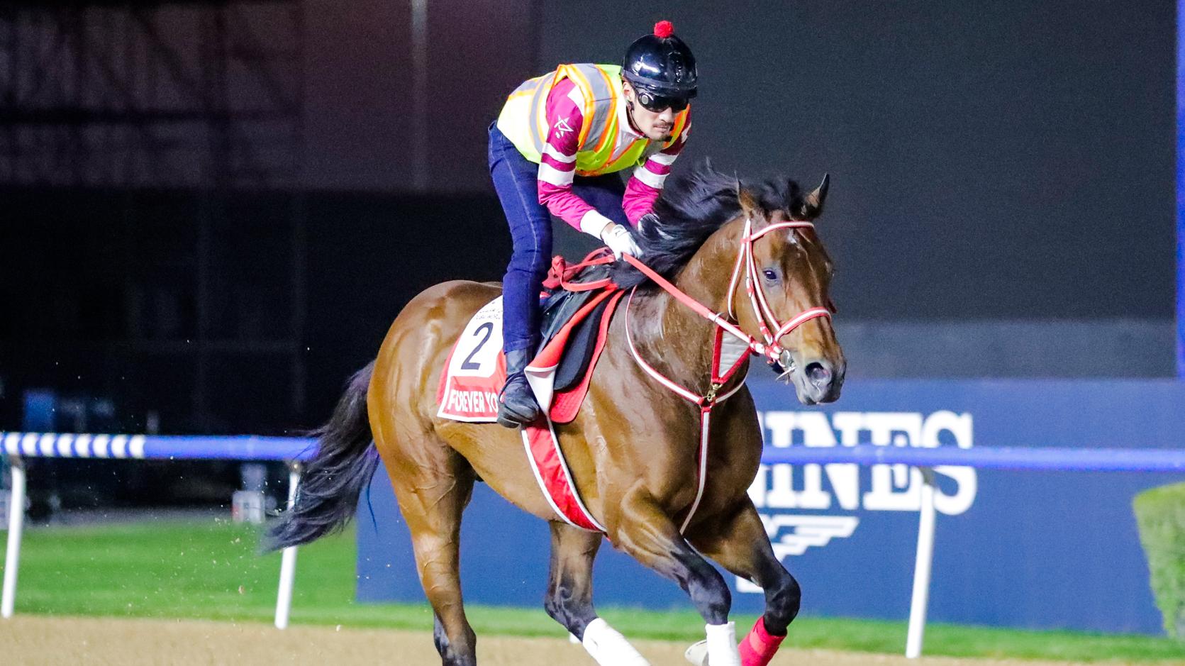 Forever Young(JPN) Yoshito Yahagi Dubai World Cup Picture credit DRC