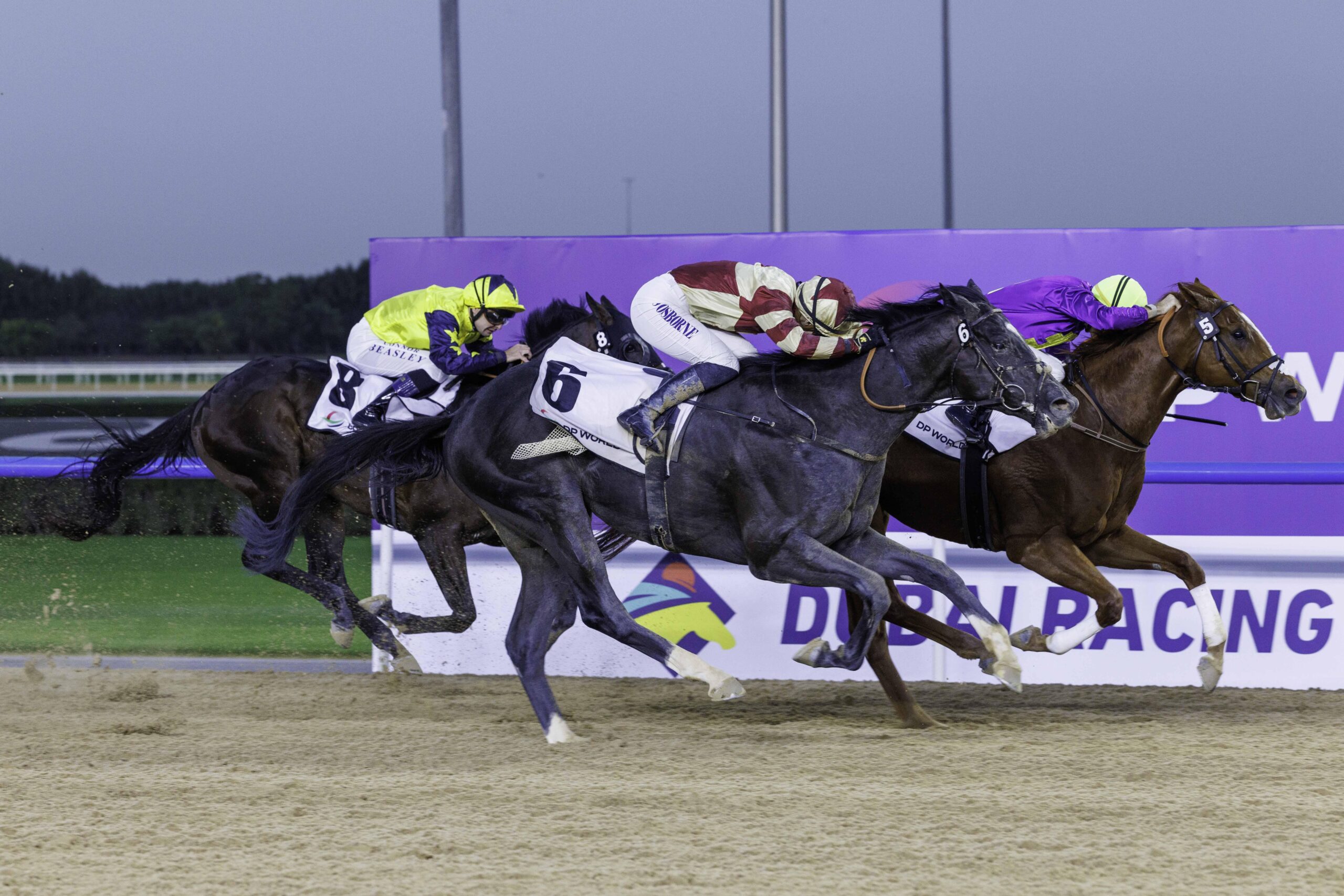 GALACTIC STAR (USA)wins the Al Bastakiya Presented by DP World (3)