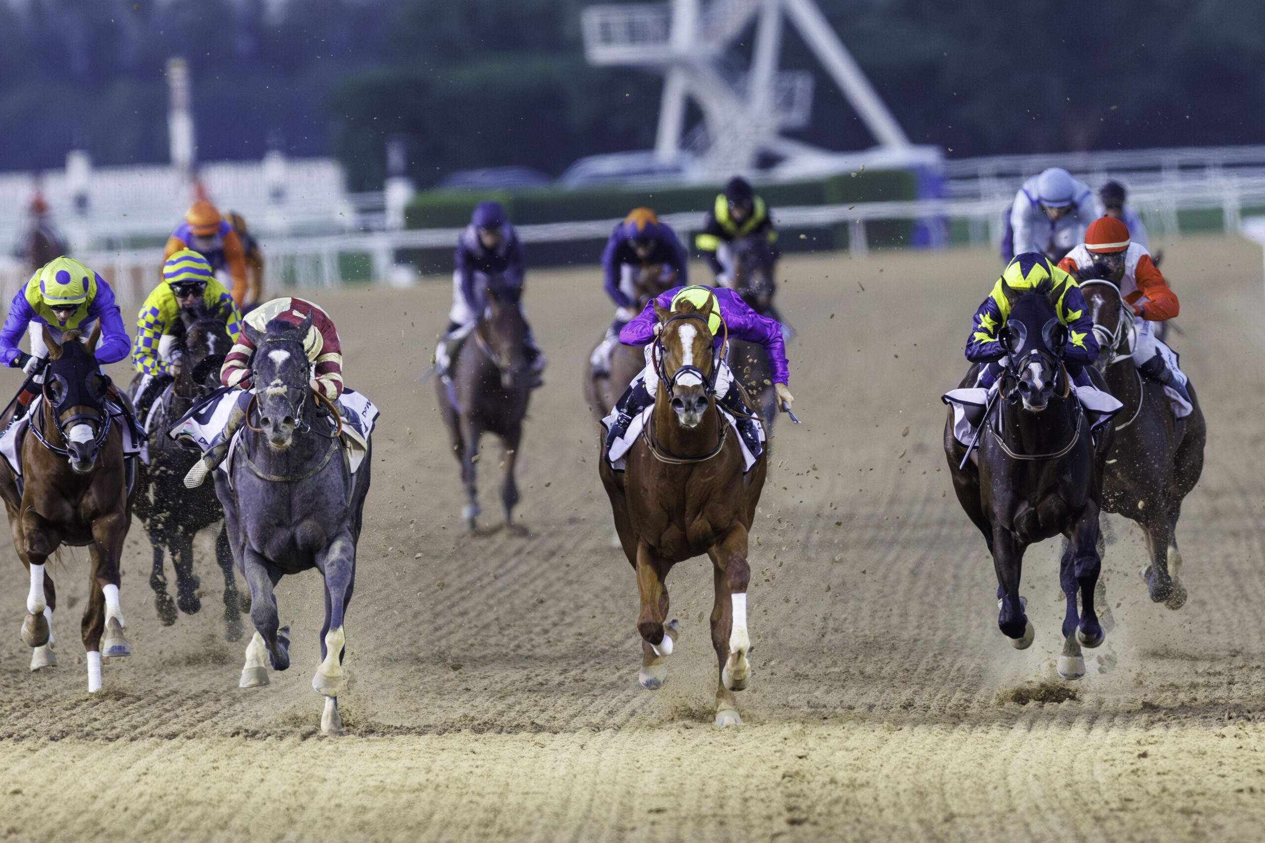 GALACTIC STAR (USA)wins the Al Bastakiya Presented by DP World (6)