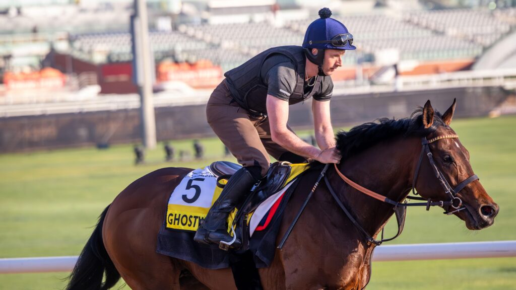 Dubai World Cup 2025 Track Work Images , April 02, 2025 | Dubai Racing Club