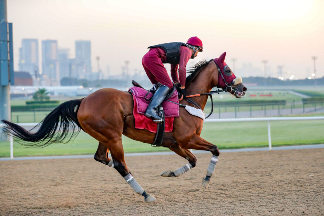 Imperial Emperor (IRE)