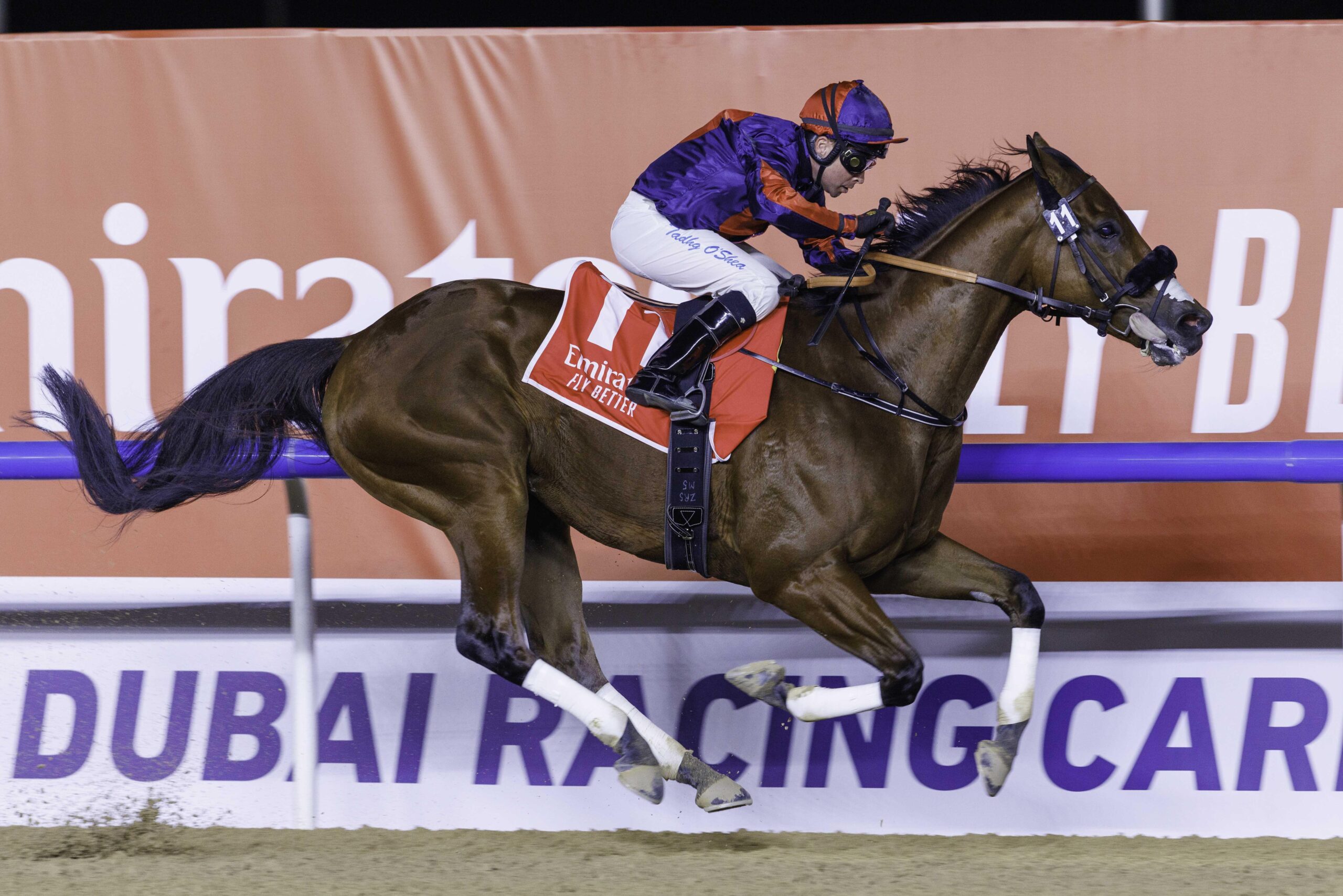 Imperial Emperor (IRE) (Bhupat Seemar-Tadgh O’Shea) wins the Group 2 AL MAKTOUM CLASSIC Sponsored by Emirates Airline (2)