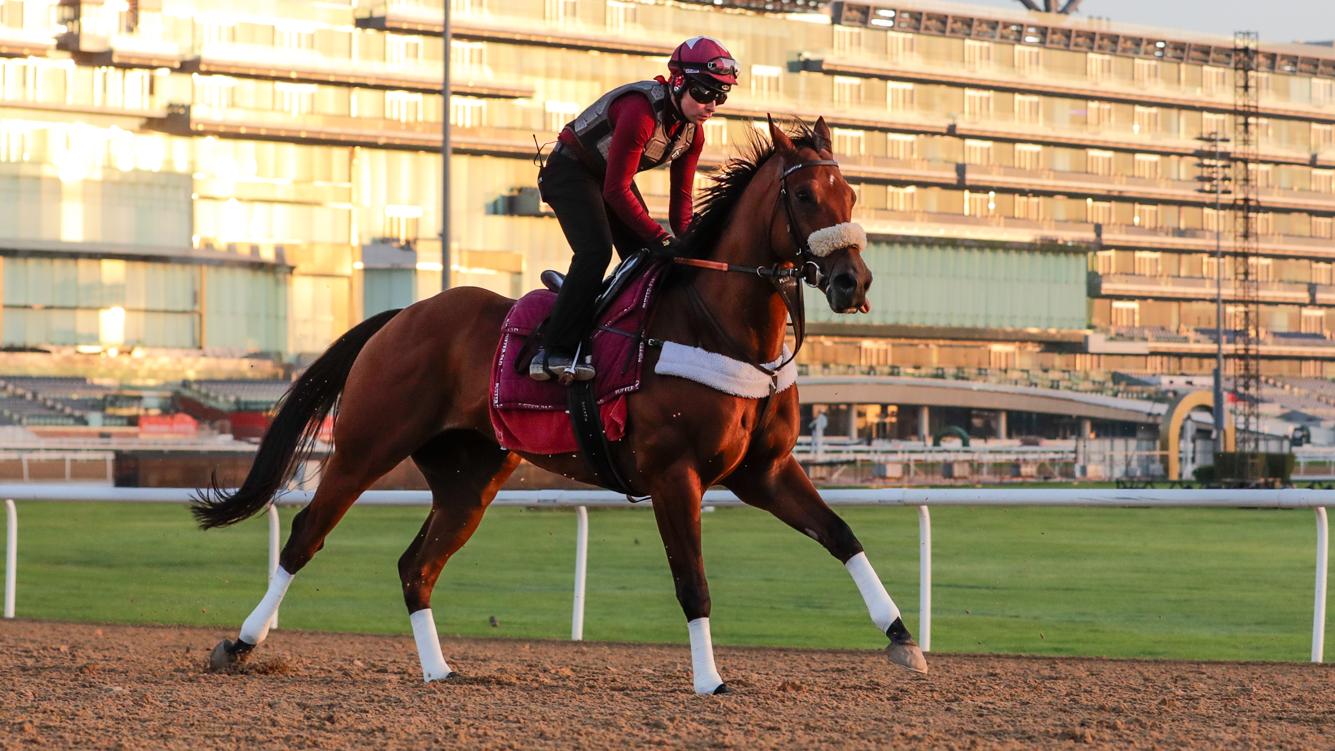 Imperial Emperor(IRE) Bhupat Seemar Dubai World Cup Picture credit DRC