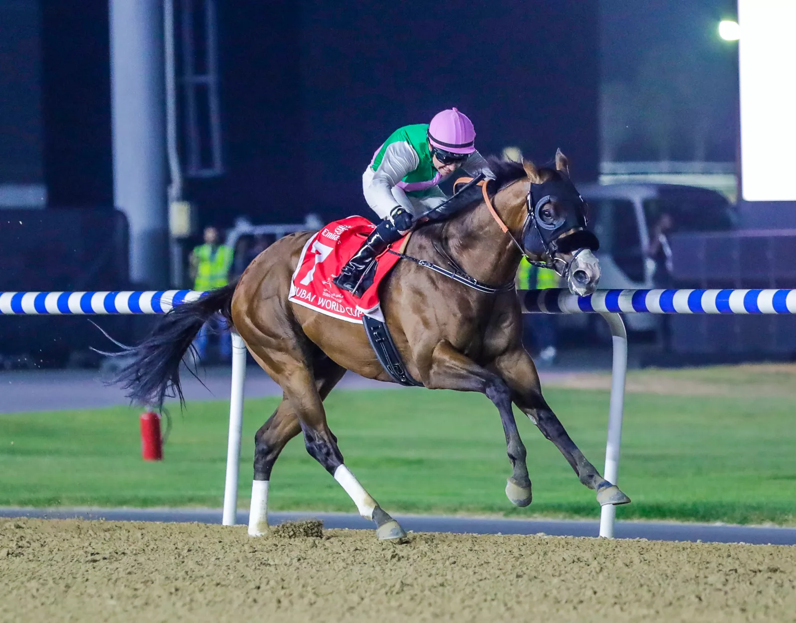 Dubai World Cup Winner Laurel River