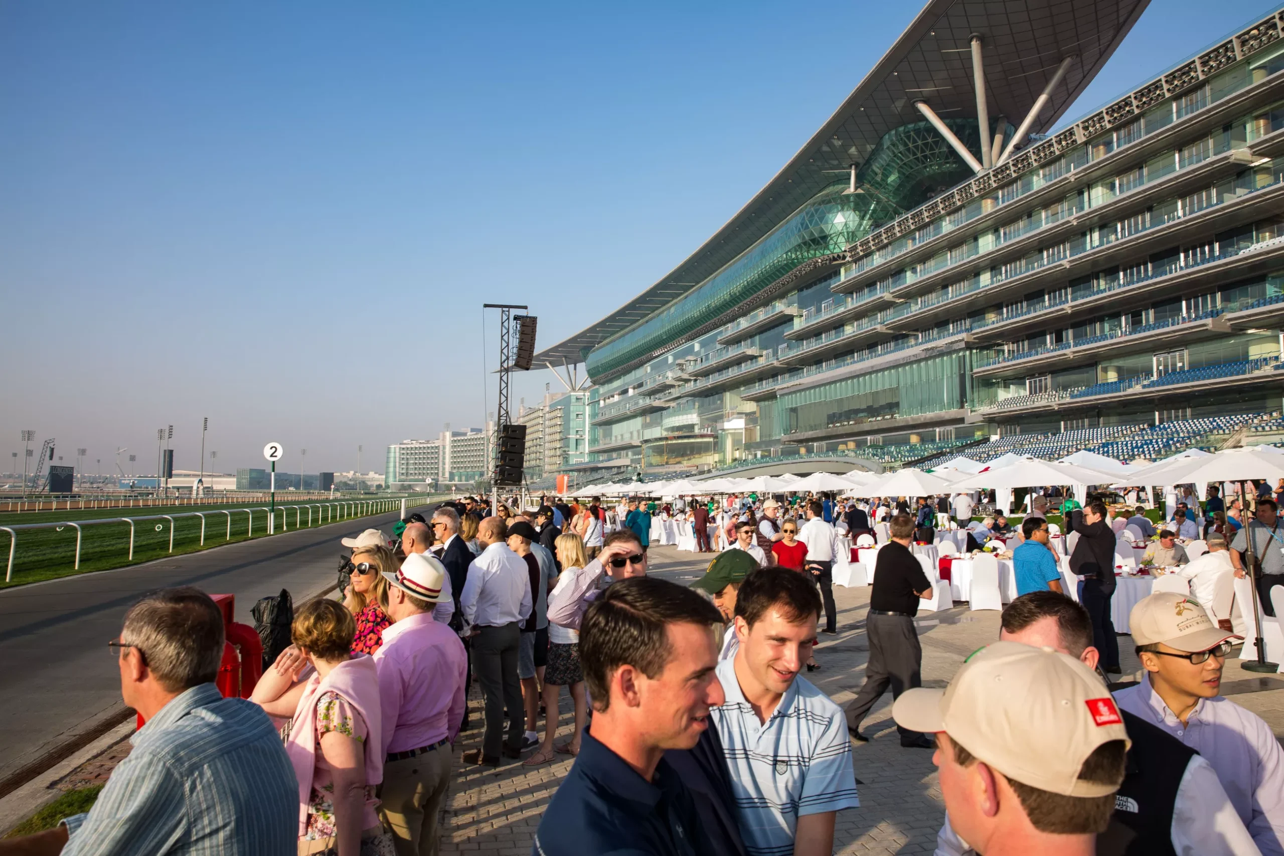 The Morning Gallop at Meydan Racecourse