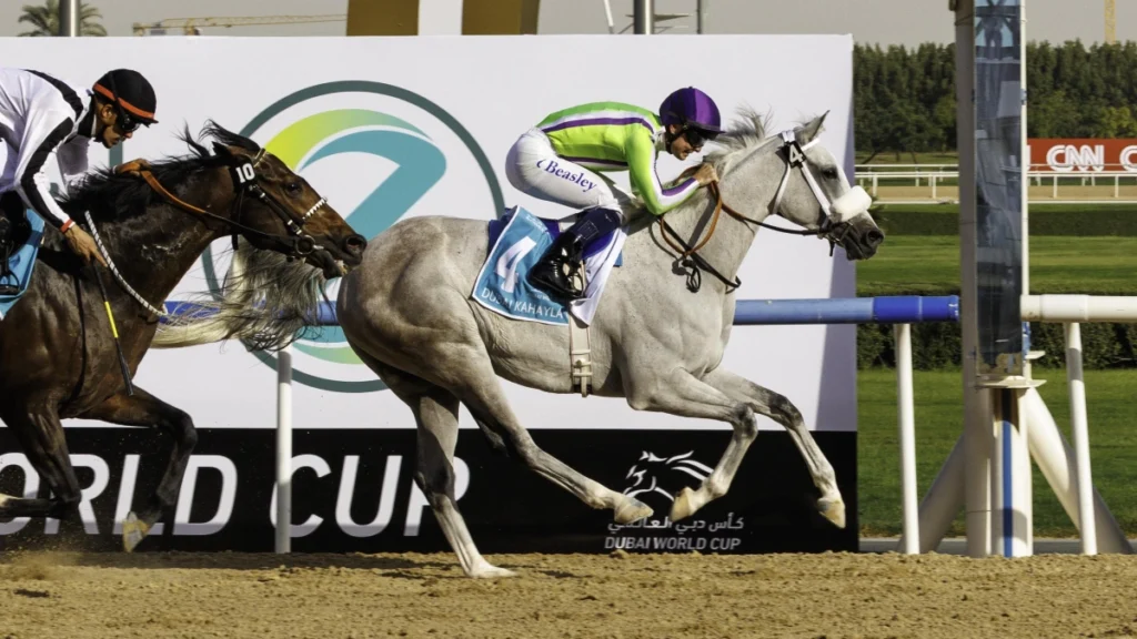 Horses competing in Dubai World Cup race