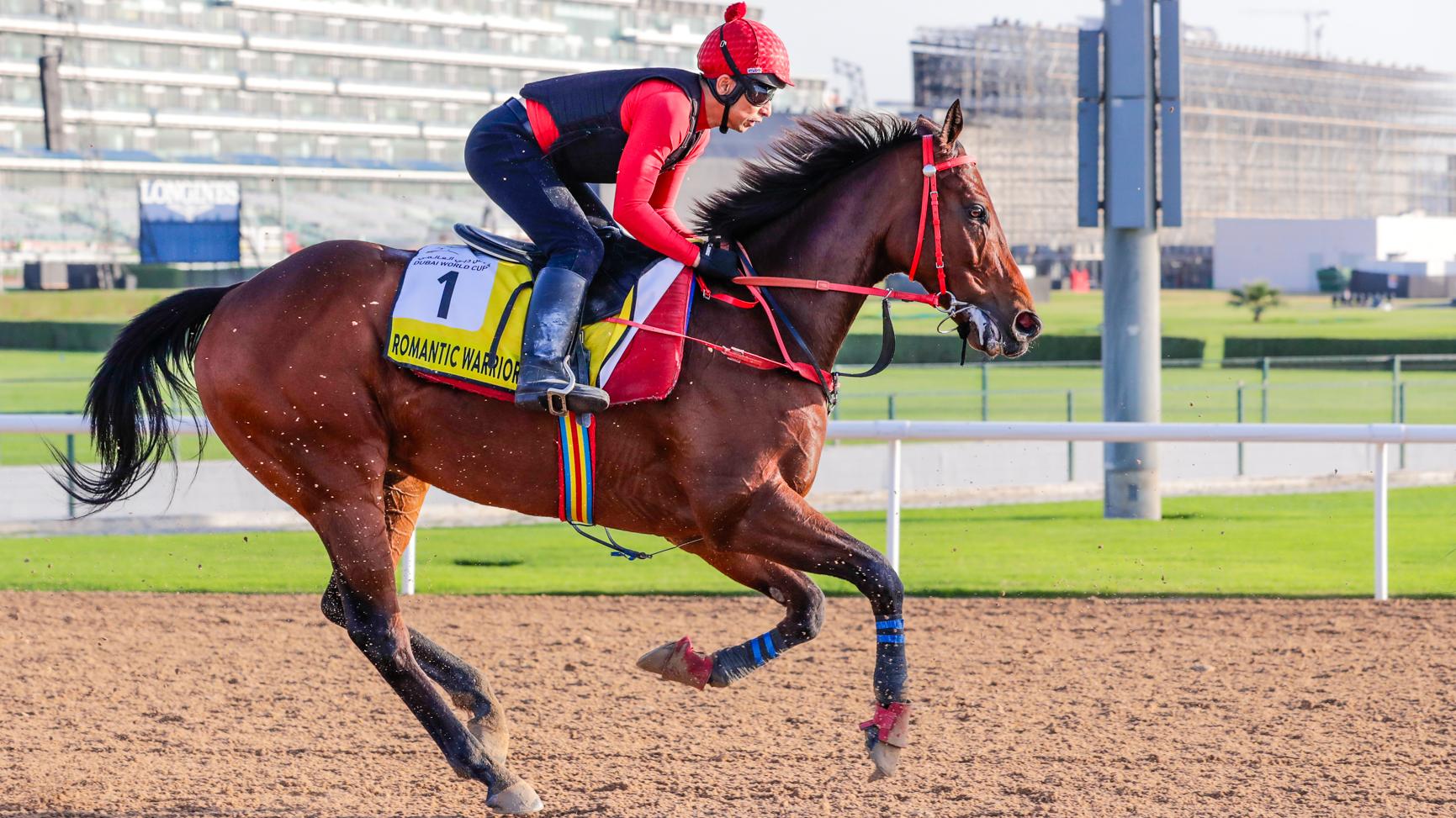 Romantic Warrior (IRE) Danny Shum Dubai Turf Picture credit DRC