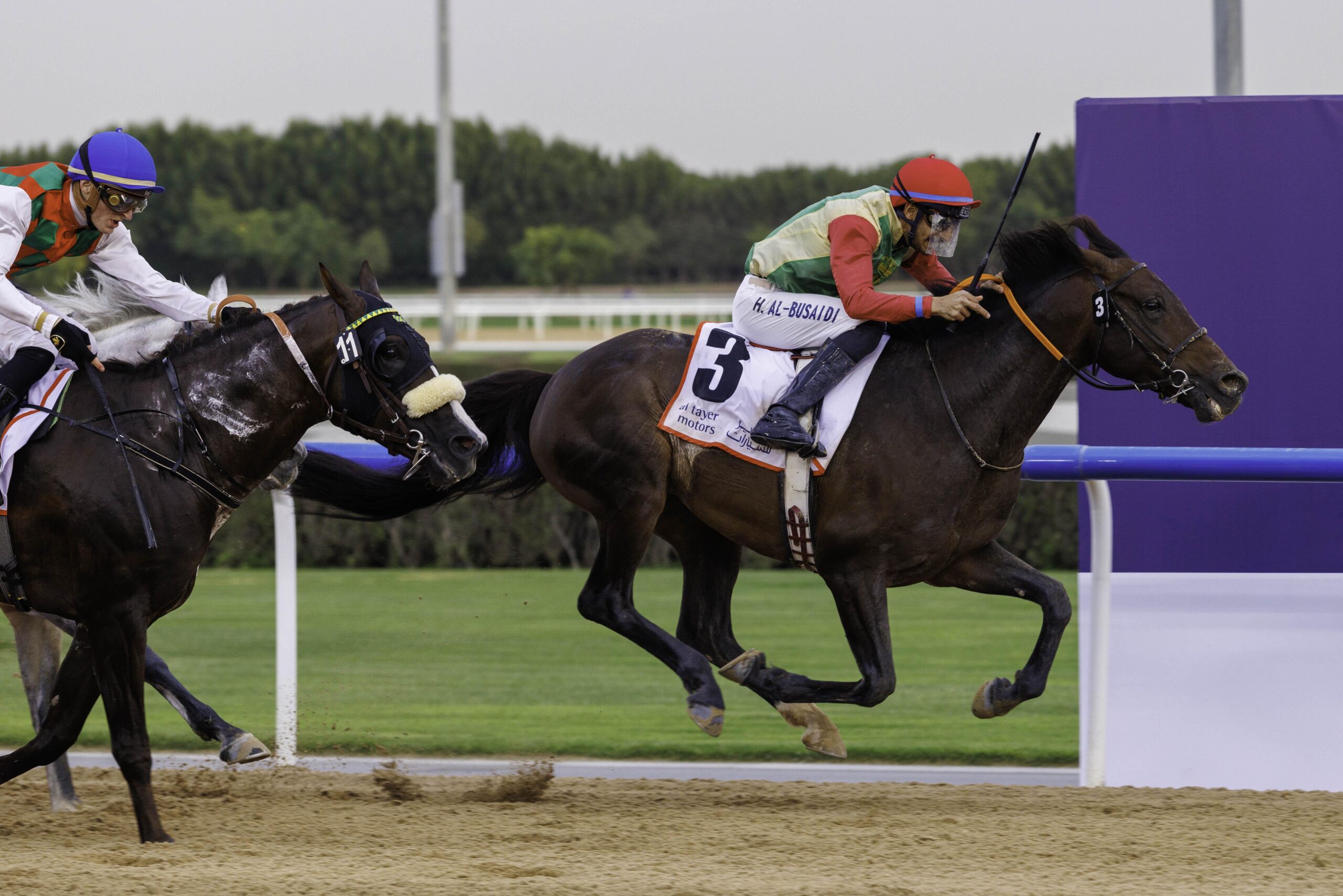 SALB(FR) (Ibrahim Al Hadhrami- Hamed Al Busaidi) wins the Al Tayer Motors Race (3)_0