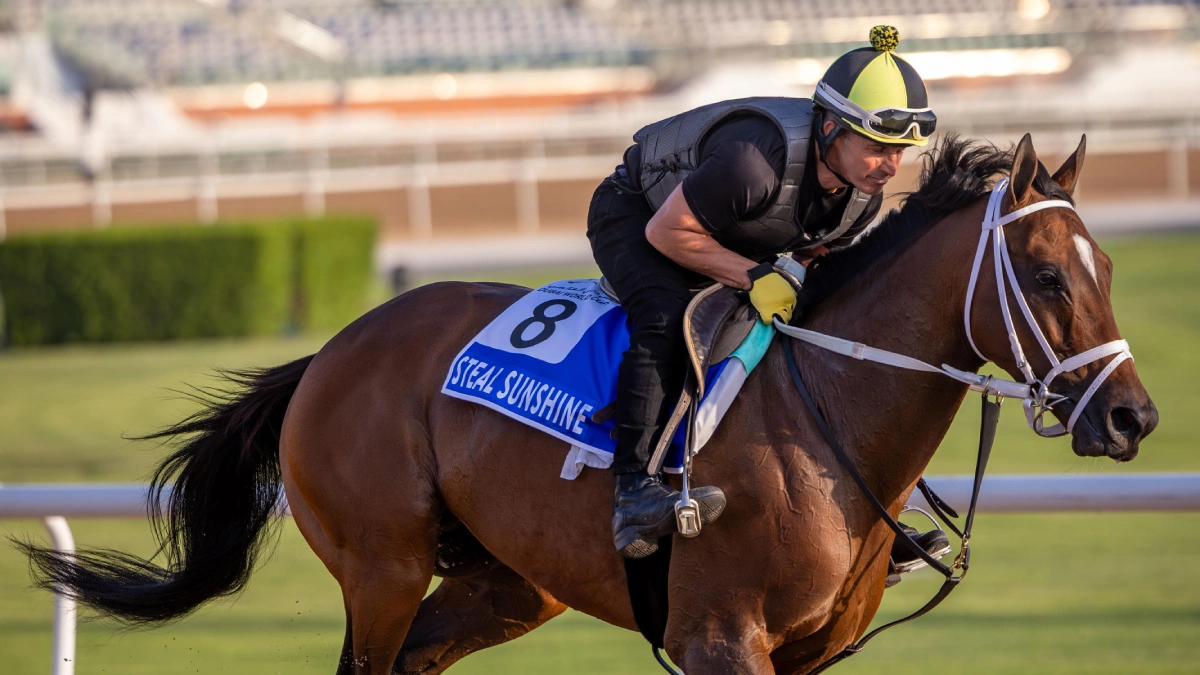 Steal Sunshine canter nice
