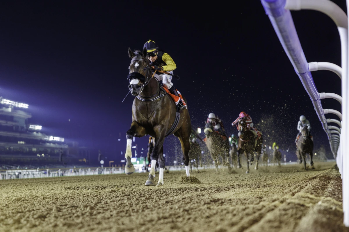 Tuz (USA) (Bhupat Seemar-Tadgh O’Shea) wins the Group 3 MAHAB AL SHIMAAL Sponsored by emirates.com (G3) (1)
