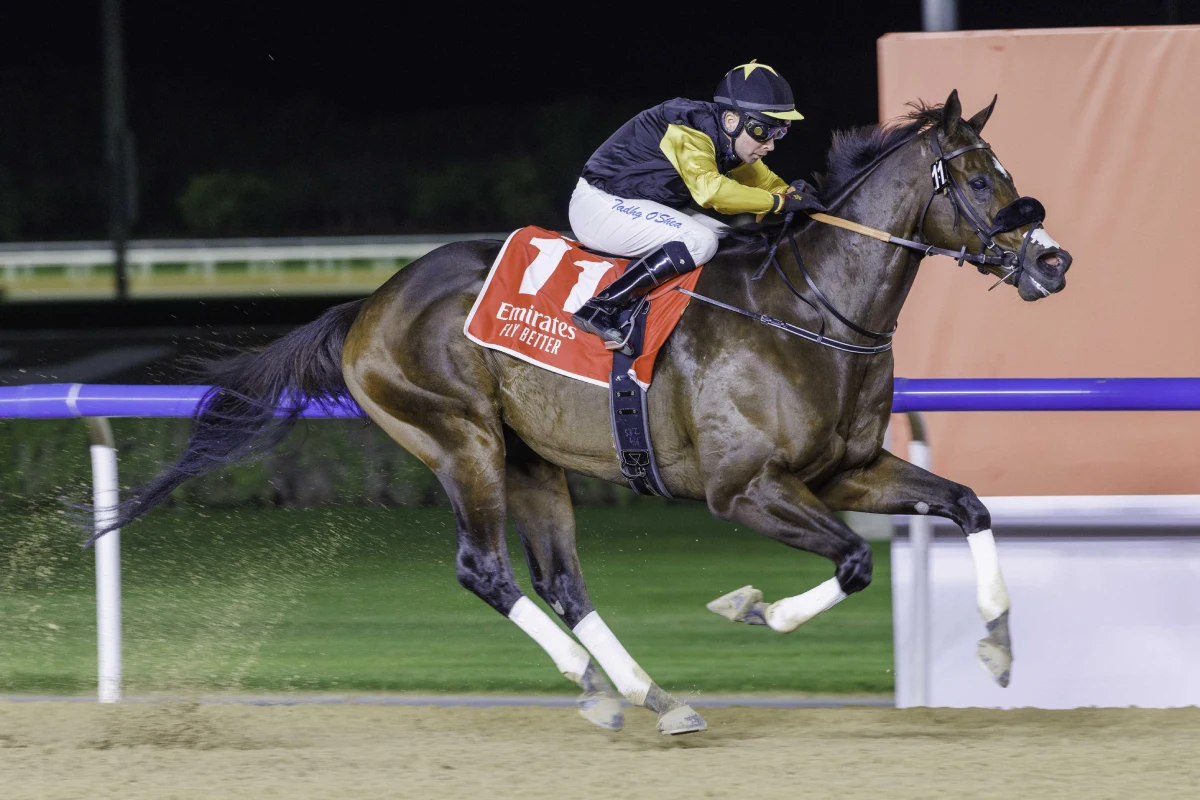 Tuz (USA) (Bhupat Seemar-Tadgh O’Shea) wins the Group 3 MAHAB AL SHIMAAL Sponsored by emirates.com (G3) (3)_0