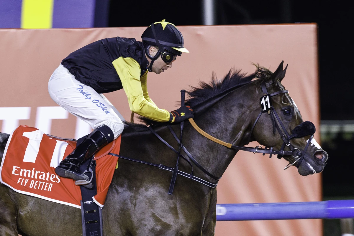 Tuz (USA) (Bhupat Seemar-Tadgh O’Shea) wins the Group 3 MAHAB AL SHIMAAL Sponsored by emirates.com (G3) (4)_1