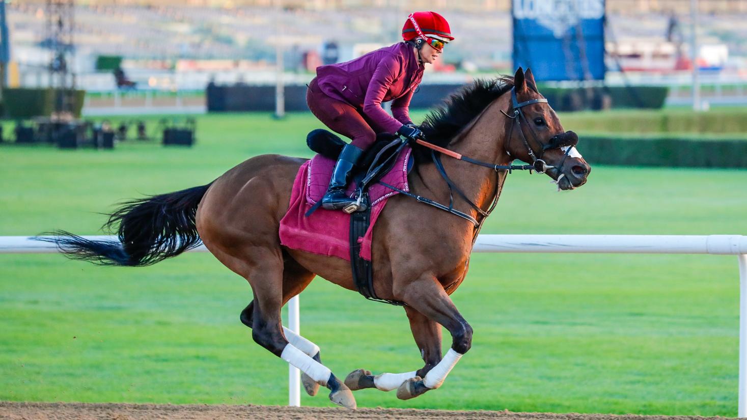 Walk Of Stars(UK) Bhupat Seemar Dubai World Cup Picture credit DRC