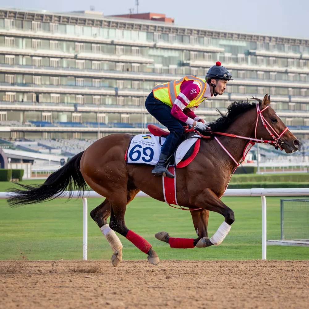 0C6A1742-Enhanced-NR