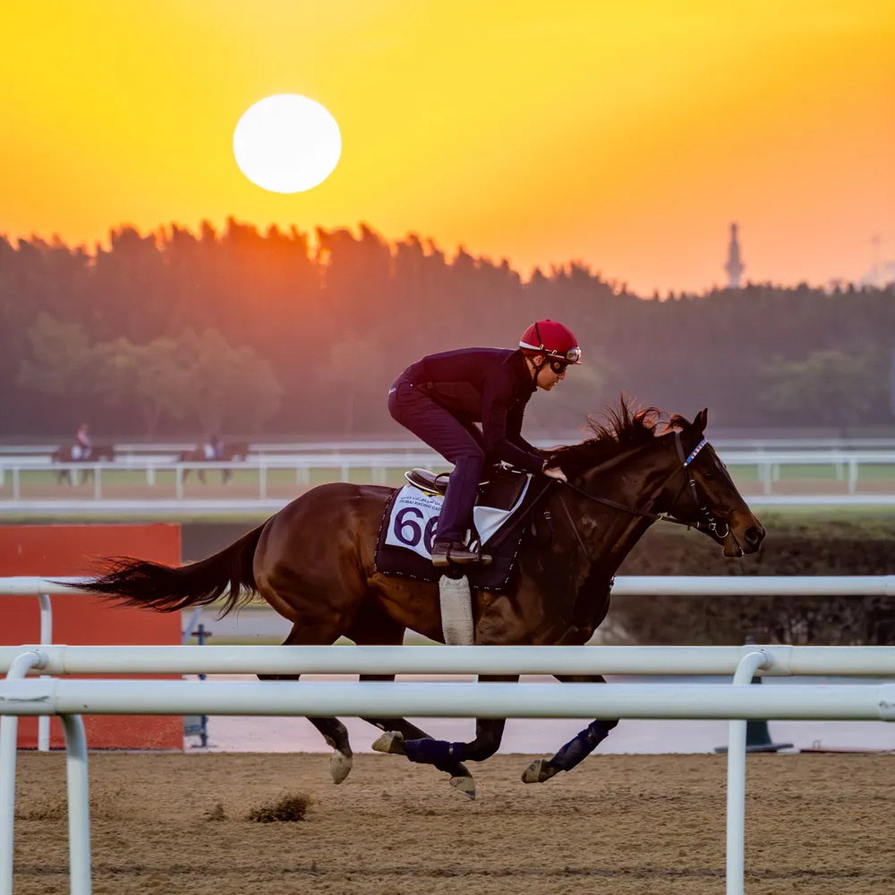 0C6A5024-Enhanced-NR