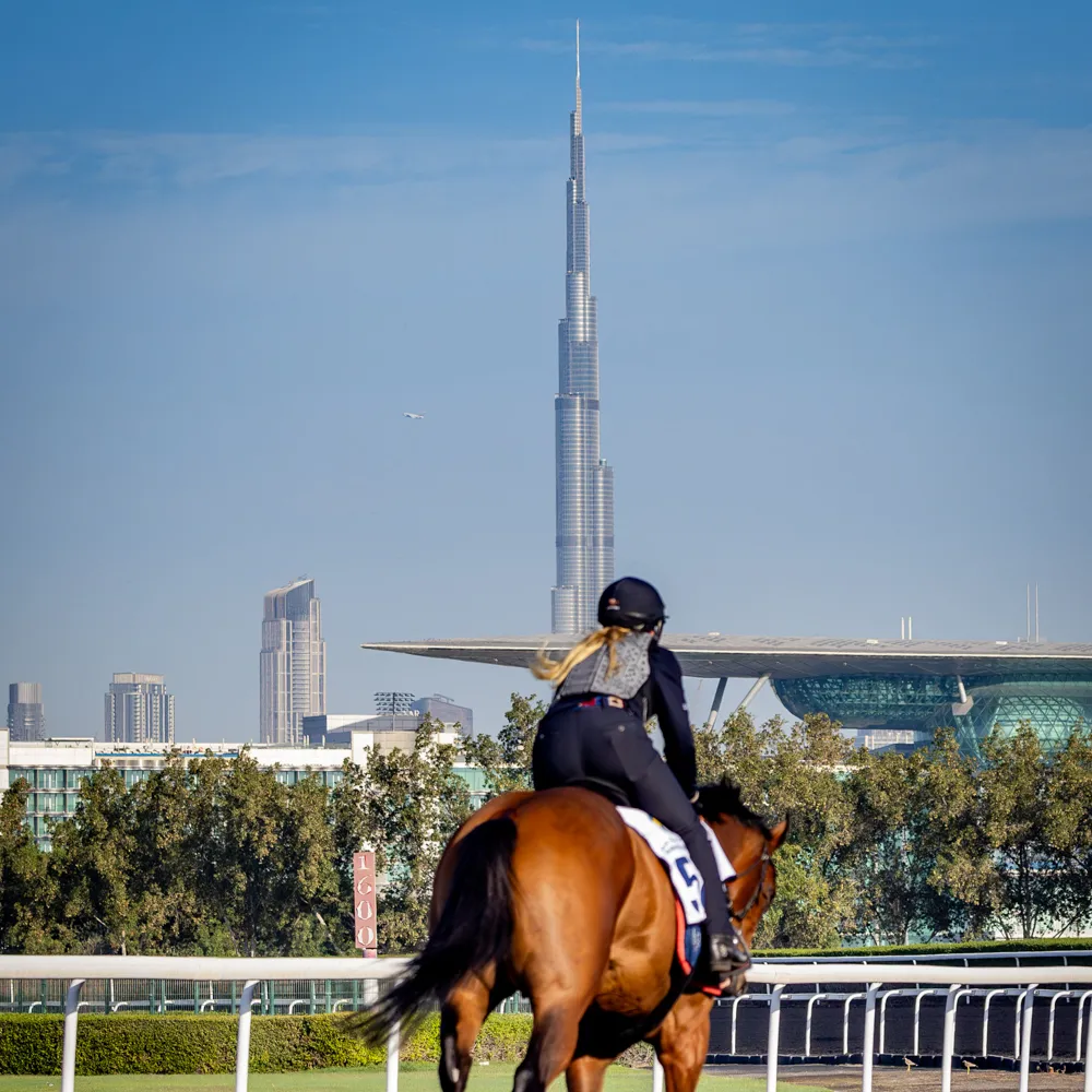 0C6A7521-Enhanced-NR