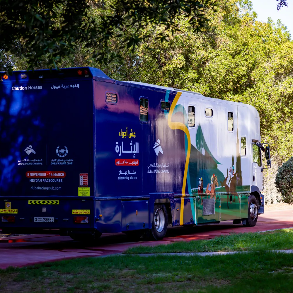 Dubai Racing Carnival horse transport