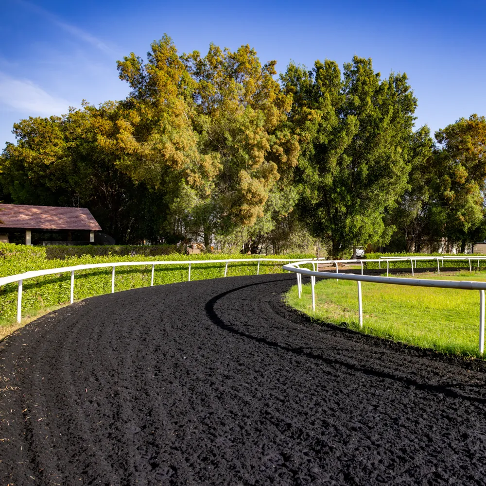 Training track with scenic greenery