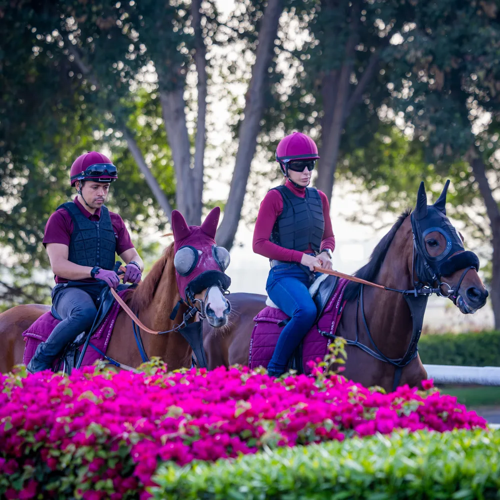 Exercise riders with horses in garden