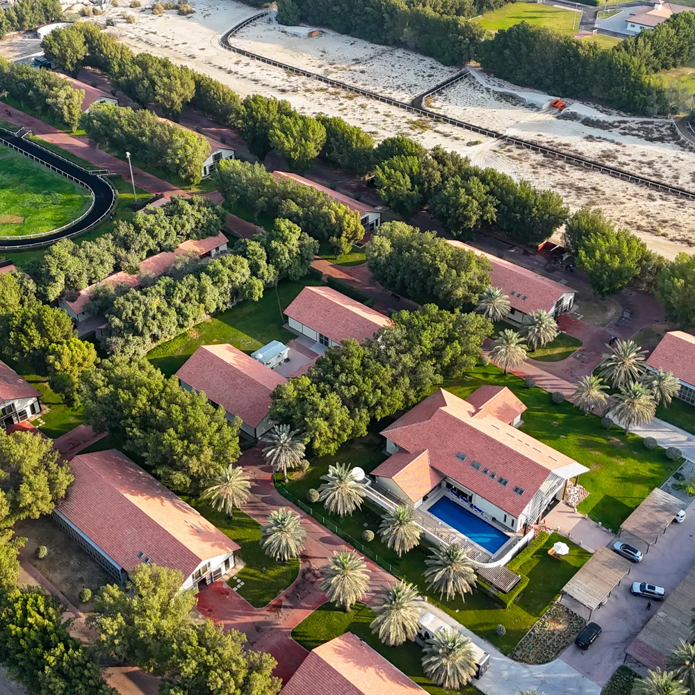 Intl Quarantine Drone