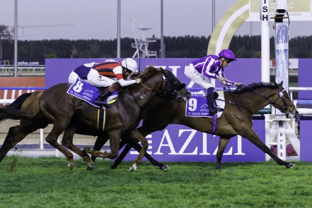 Horses competing in purple racing silks