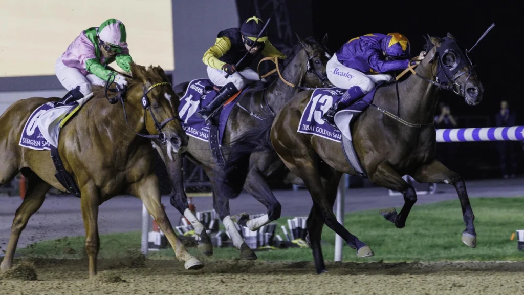Race 6 - DARK SAFFRON (USA) wins Dubai Golden Shaheen Sponsored By NAKEEL, April 5, 2024 | Dubai Racing Club