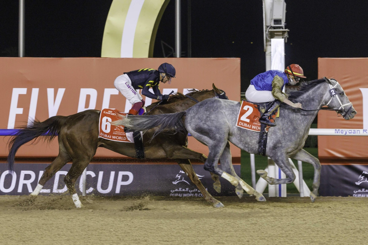 HIT SHOW (USA) wins the Dubai World Cup (Credit - DRC) - 05042025